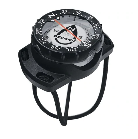 Compass with Bungee mount